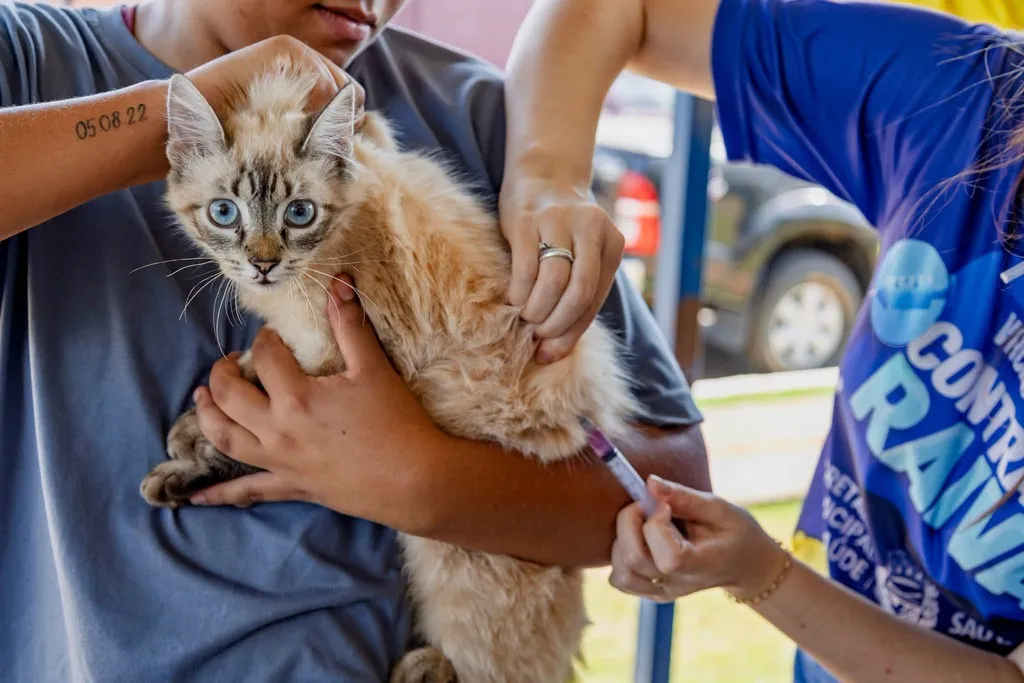 Francisco Morato terá vacinação antirrábica para cães e gatos nesta quinta-feira (24)