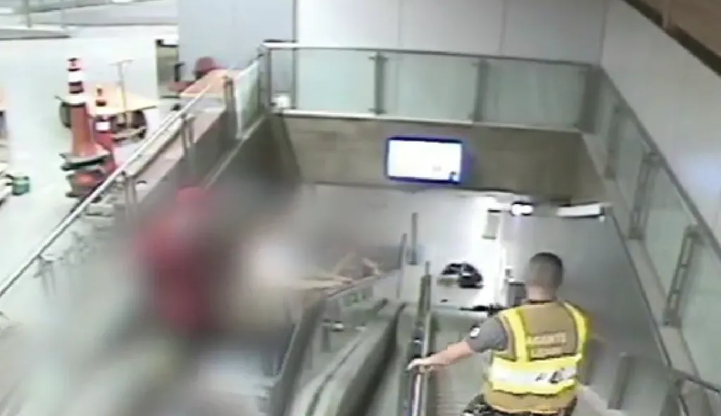 Celular vira fator de distração e acende alerta para acidentes em estações de metrô e trem