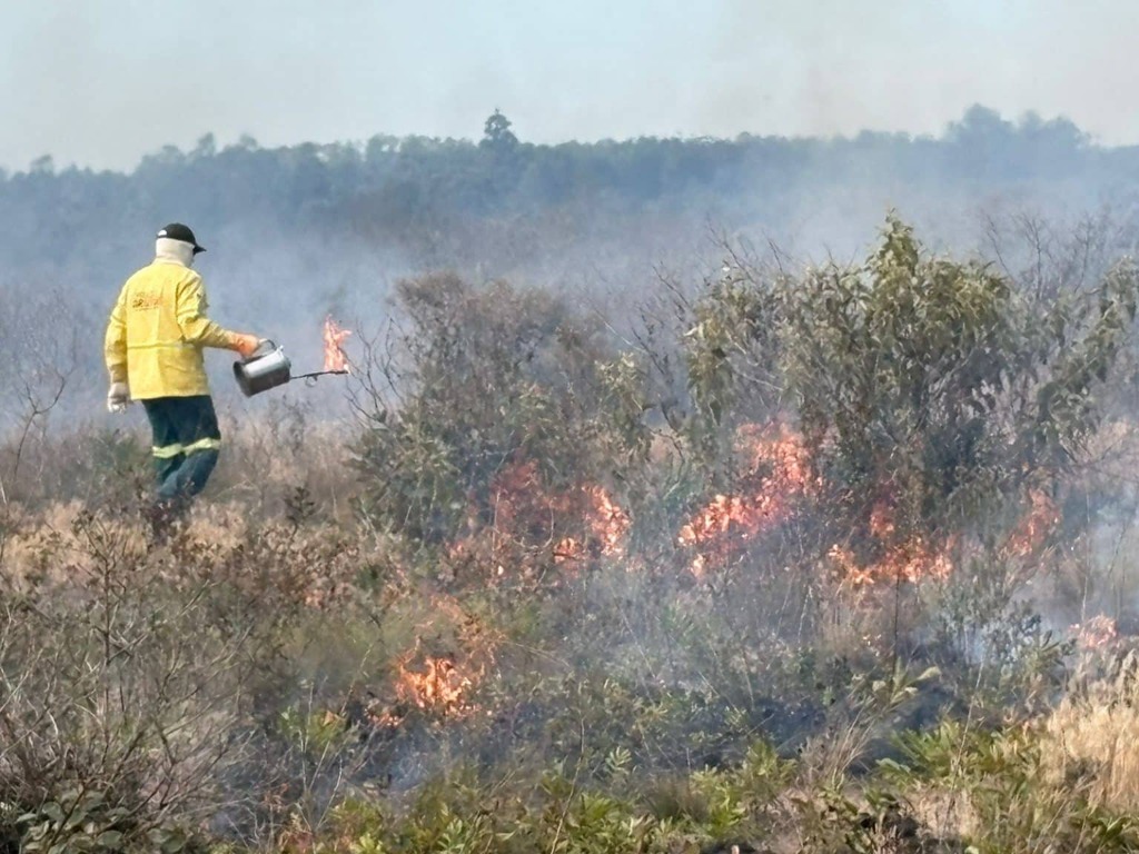 Queima prescrita será realizada no Parque Estadual do Juquery nos dias 2 e 3 de junho