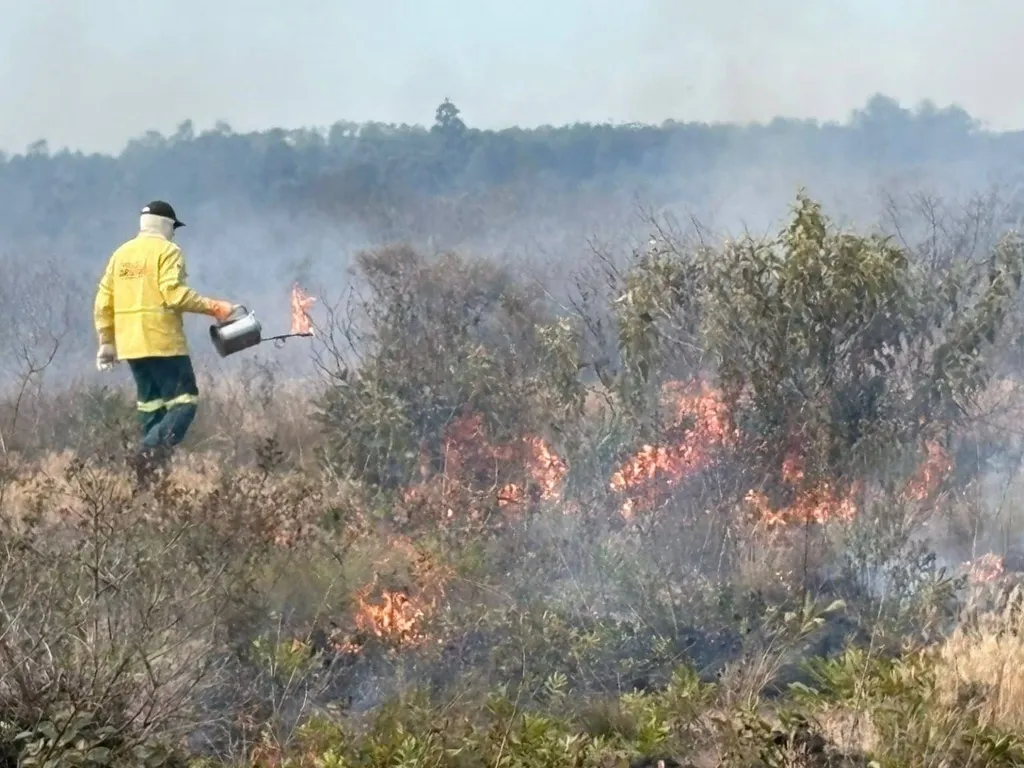 Queima prescrita será realizada no Parque Estadual do Juquery nos dias 2 e 3 de junho
