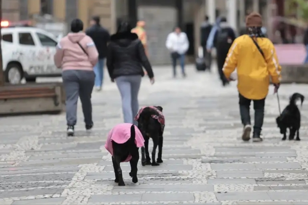 Pessoa caminha por uma rua urbana em dia frio ao lado de outras pessoas agasalhadas, enquanto conduz um cachorro de porte médio usando roupinha; ao fundo, pedestres seguem pela calçada e um veículo está estacionado, reforçando a sensação de baixa temperatura e rotina nas ruas.