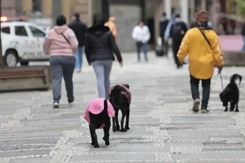 Inverno começa com frio e instabilidade no Cimbaju e em todo o estado de São Paulo