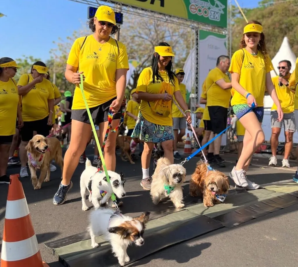 Mairiporã realiza Cãominhada com feira de adoção e ações de proteção animal neste sábado (29)