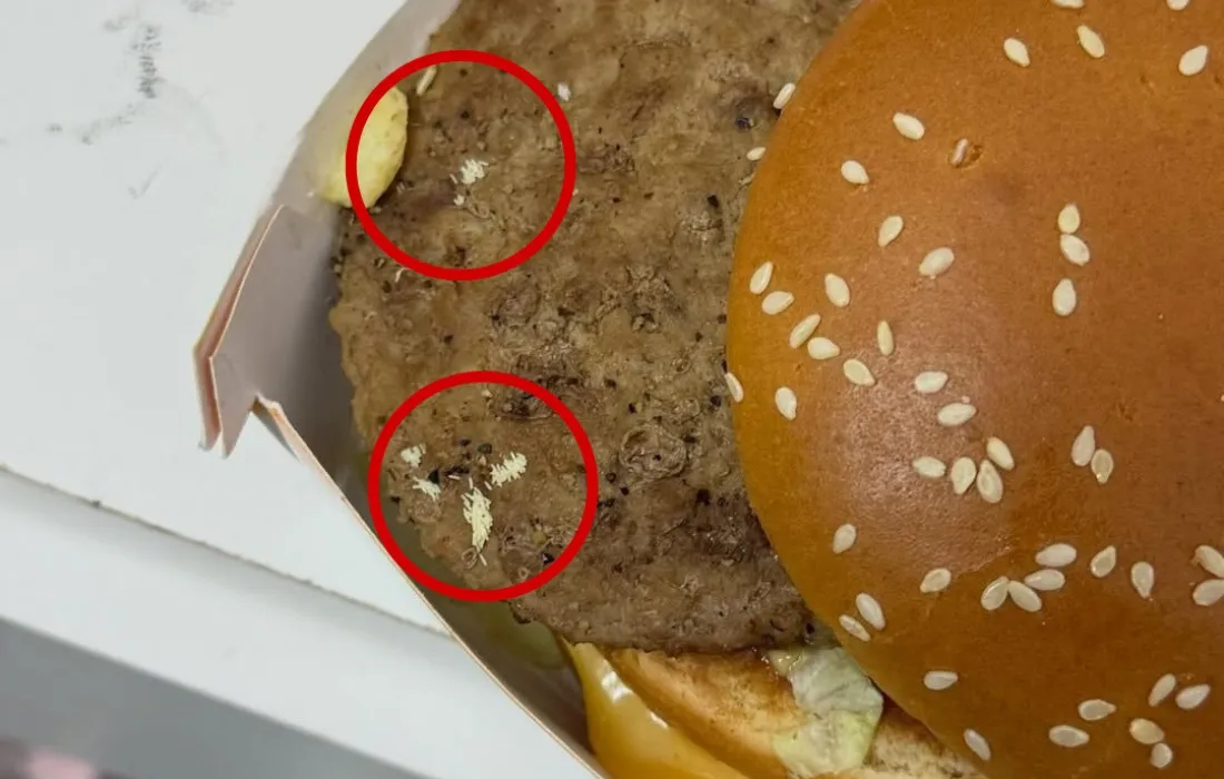 Cliente denuncia presença de supostos ovos de moscas em lanche em Franco da Rocha