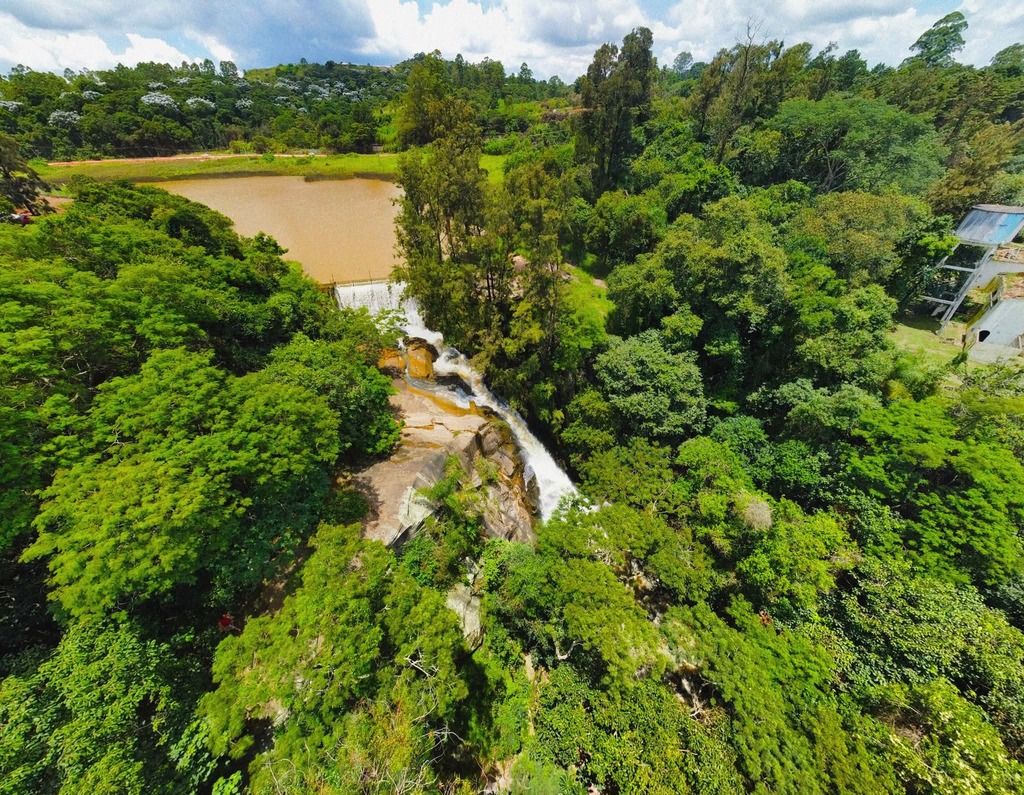 Franco da Rocha inicia Semana do Meio Ambiente com programação gratuita e ações sustentáveis