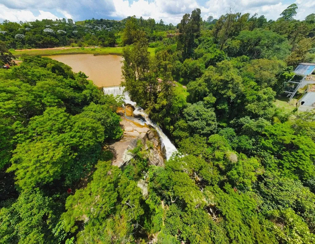 Franco da Rocha inicia Semana do Meio Ambiente com programação gratuita e ações sustentáveis