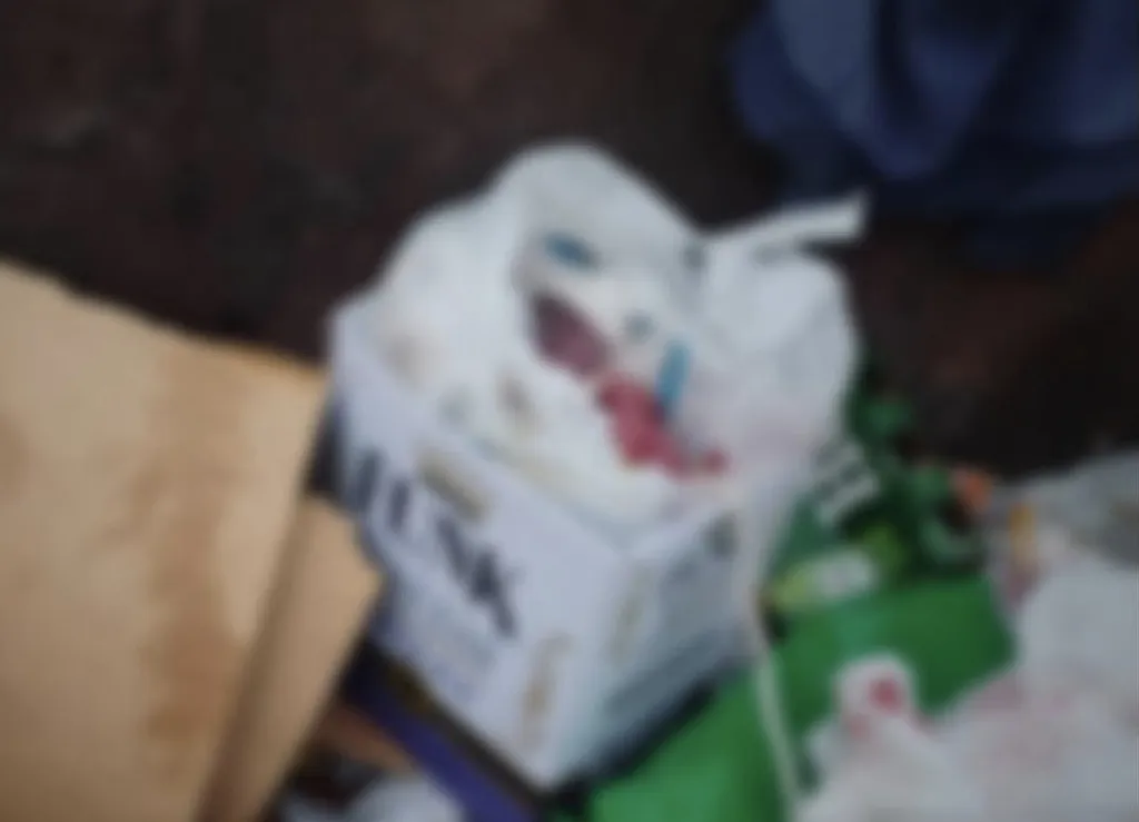 Corpo de bebê recém-nascido é encontrado dentro de lixeira em Franco da Rocha