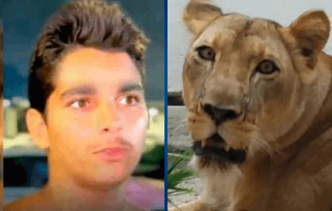 Duas histórias que se tocam