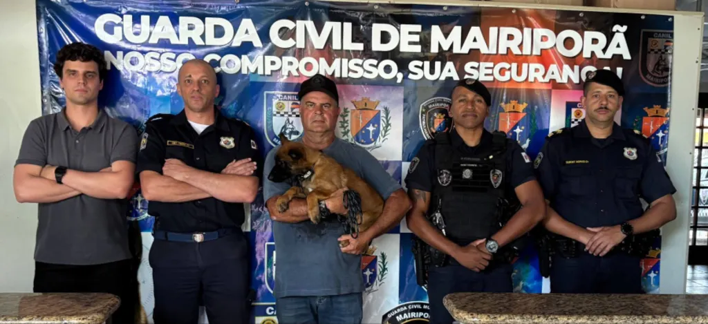 GCM de Mairiporã doa cão para reforçar operações da Guarda de Poços de Caldas