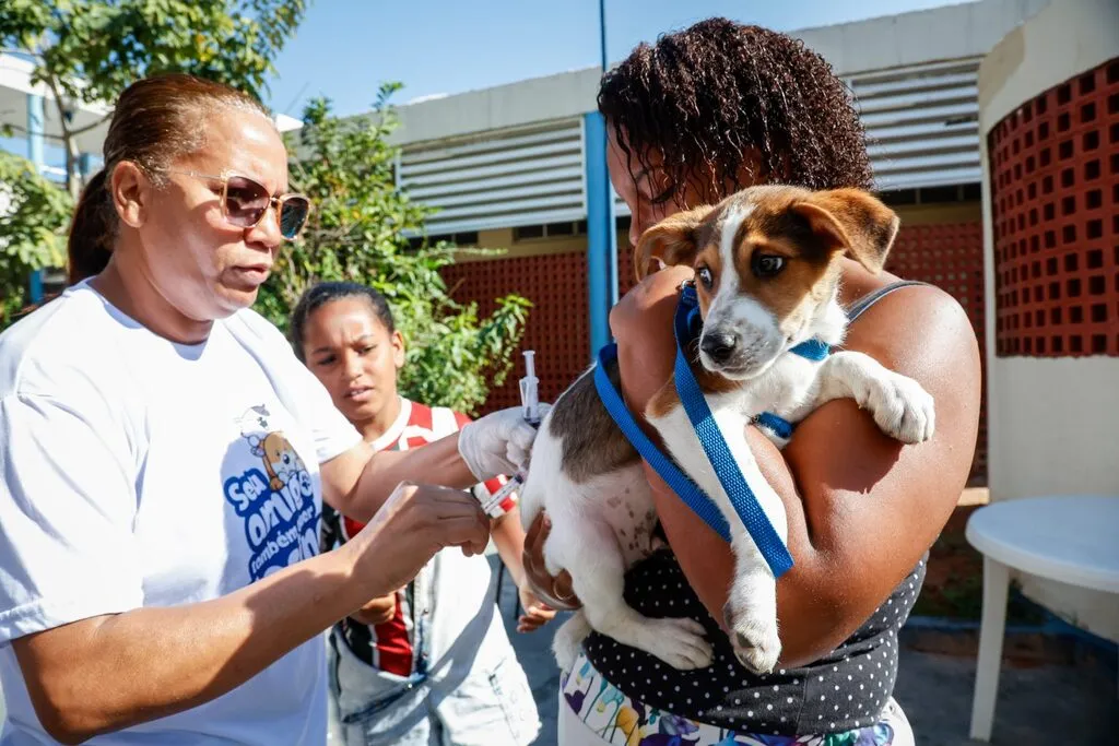 Franco da Rocha terá vacinação antirrábica gratuita para cães e gatos nesta terça-feira (25)