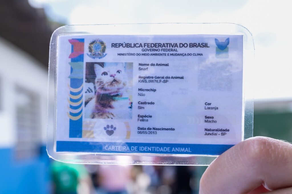 Jundiaí reforça proteção animal com identificação obrigatória durante o Abril Laranja
