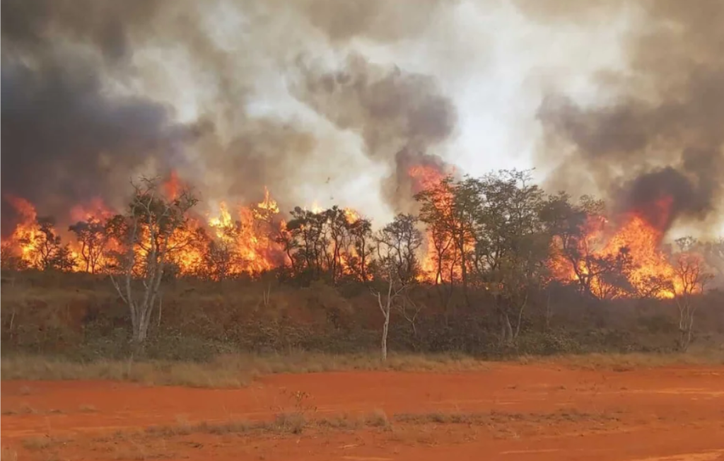Incêndio florestal de grandes proporções consumindo vegetação seca em área de cerrado. As chamas intensas se espalham entre árvores e arbustos, produzindo espessas nuvens de fumaça cinza e preta que cobrem o céu. O solo em primeiro plano é avermelhado, típico de regiões com terra rica em argila e ferro, e há pouca vegetação rasteira visível.