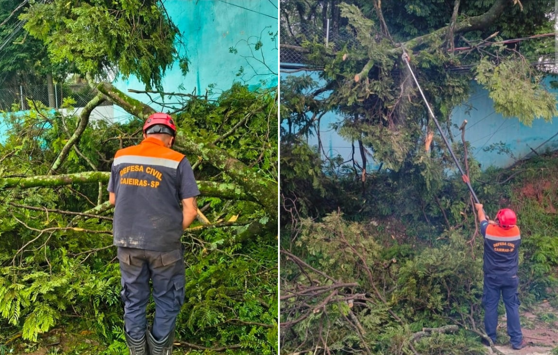 Defesa Civil intensifica ação em Caieiras após temporal derrubar árvores